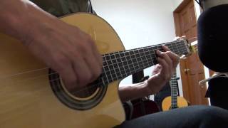 Video thumbnail of "La Fiesta (Chick Corea) - Nylon String Jazz Guitar Solo"