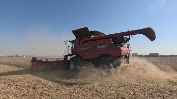 Harvest 2025 Raw Sound - Case IH 5140 Combine