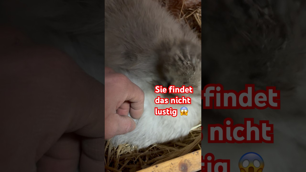 Плюски сыт по горло 😱🤬 