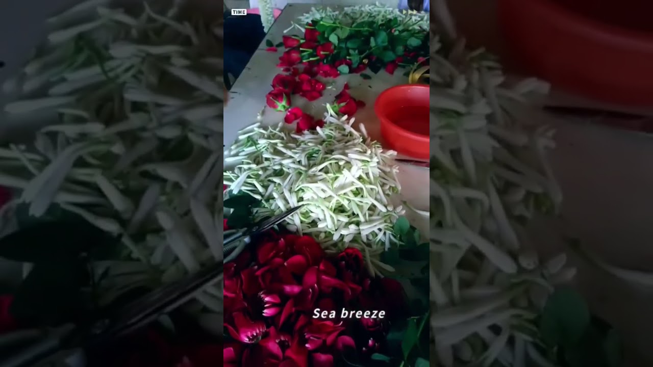 Reception and wedding garland