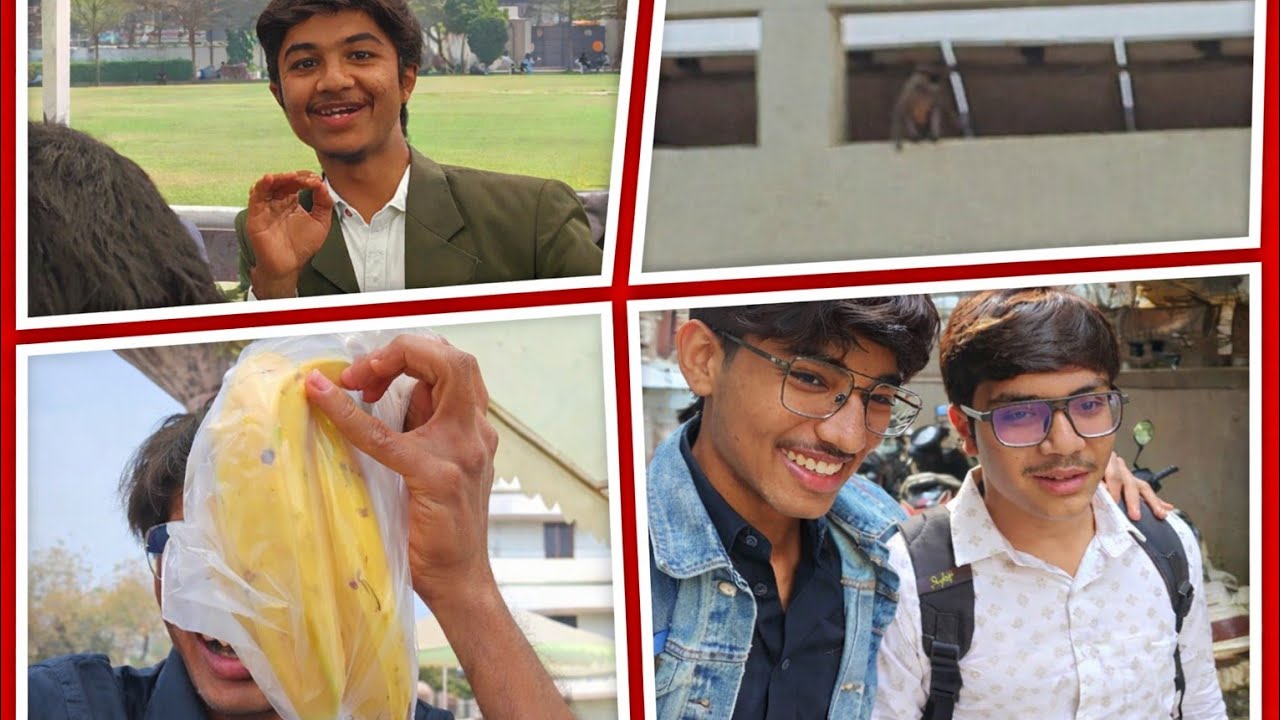 College main bandar 🐒🐒 or order main ye kya agaya 😂😂