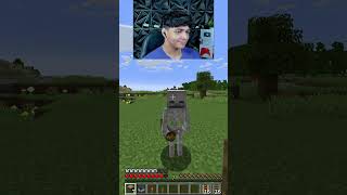 CREO QUE EXAGERE UN POQUITO CON EL ESQUELETO... #minecraft #shorts