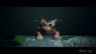 STRAY🐱 (GMV Tribute) | Dear My All