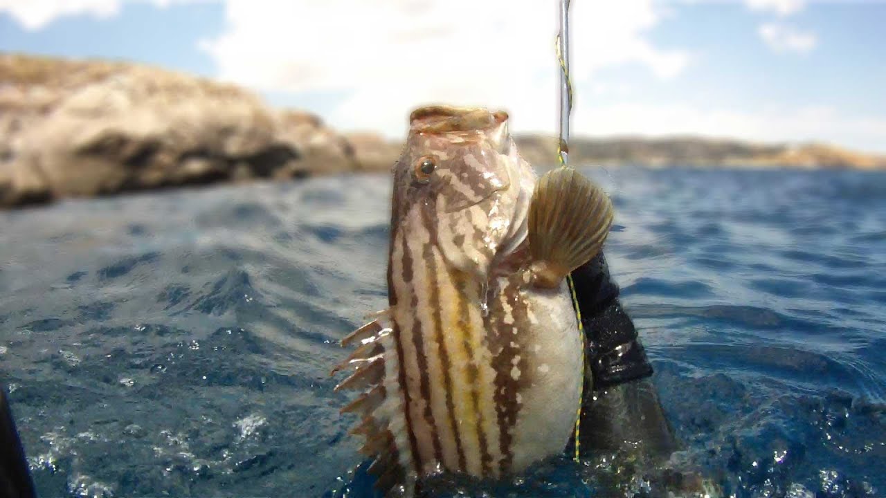 Ψαχτήρι • SpearfishingTV - Hidden Tresures #DiveWisely #InfiniteSummer #PescaFanClub