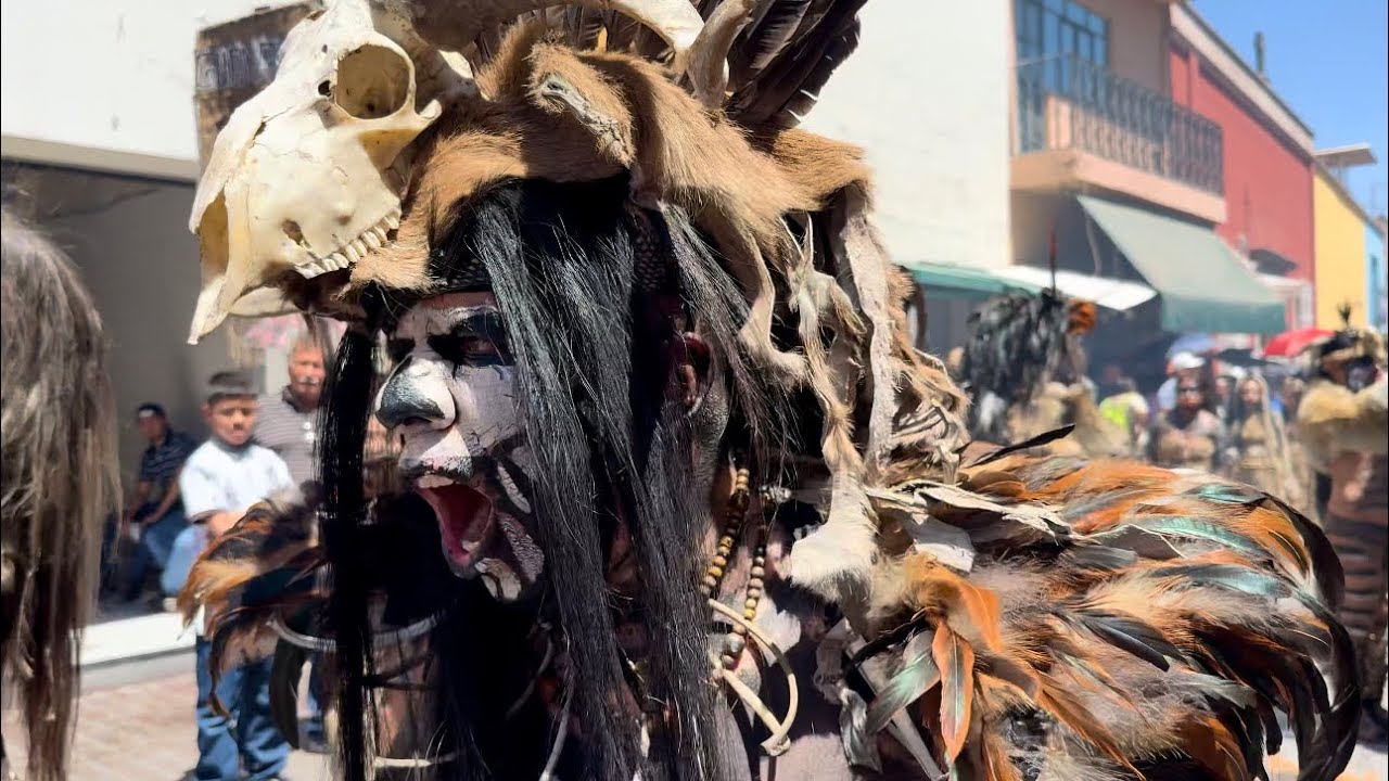 Danza Chichimeca GUAMARES - Comonfort Guanajuato 2025 // Festival de Danzas Indígenas