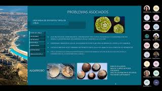 Charla: “Contaminación y erosión en la zona costera de Algarrobo” screenshot 3
