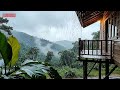 Peaceful Rain Forest Atmosphere with Piano for Sleeping Comfort