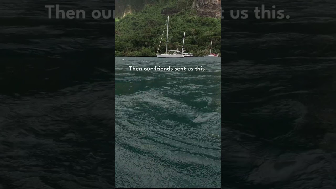 We Were Supposed to Sail to Moorea Today…