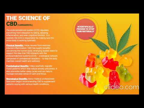 Kushly Cbd Gummies Exploring Their Unique Offerings