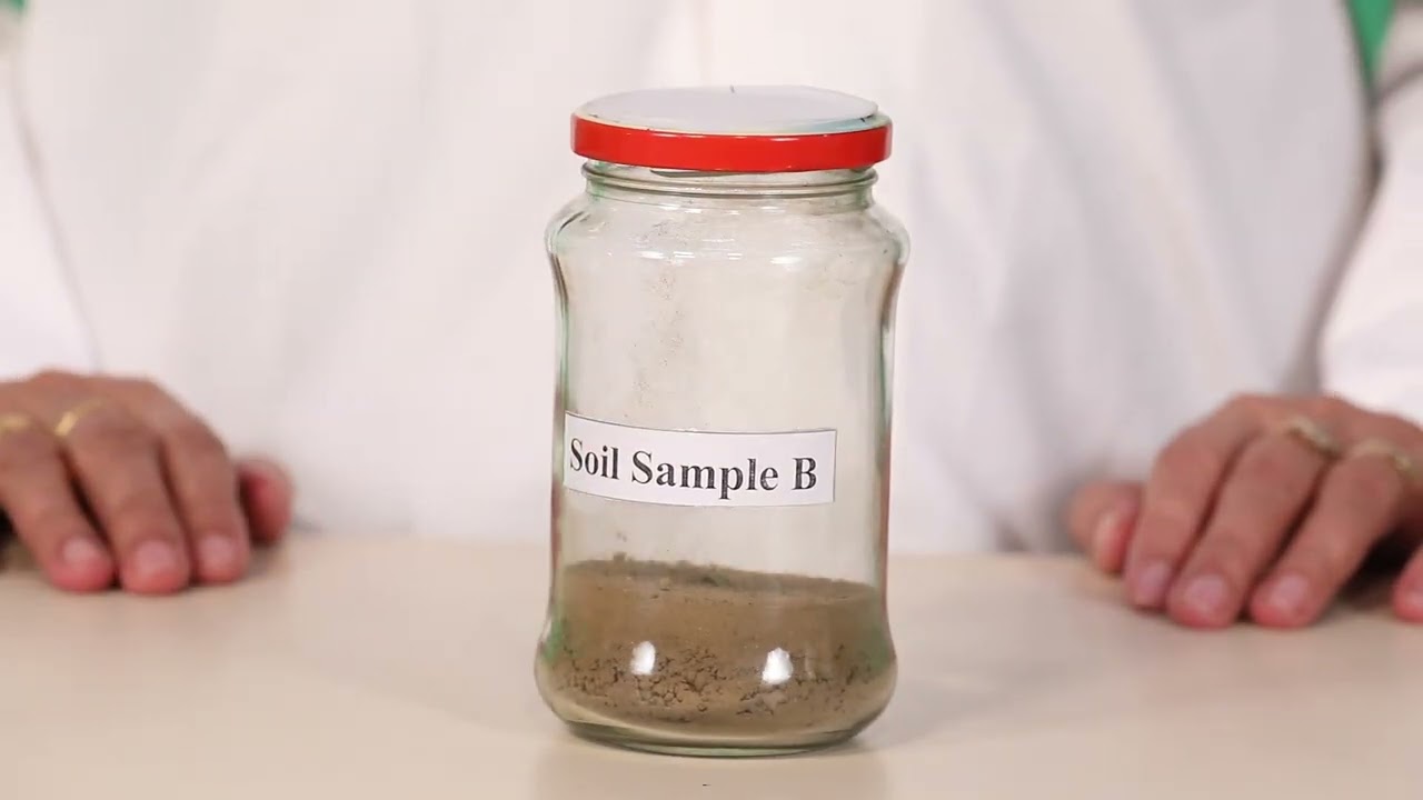 To study the texture of different soil samples