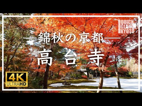 【京都 秋の旅】 高台寺 〜豊臣秀吉の正室北政所ねね様の創建した秀吉の菩提寺の紅葉をご覧ください。