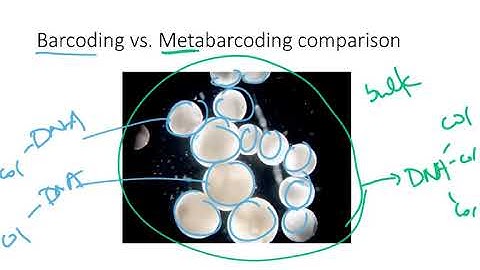 BIO178 Week 3 Species Metabarcoding