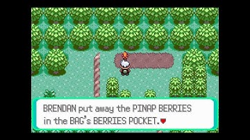 Pokémon Emerald ~ 005:Route 116 & Rusturf Tunnel