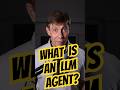 What is an LLM agent? #generativeai #llm #gpt4