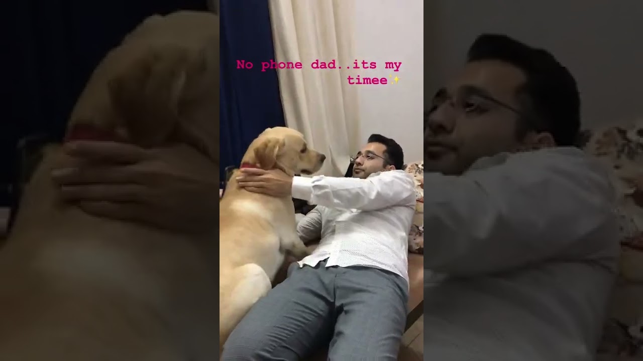 IAS Junaid Ahmed Sir With 🐕