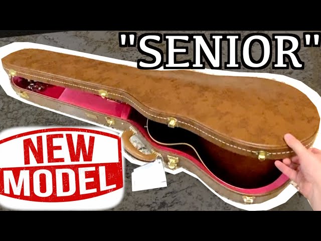 t-row　 Les Paul Standard t-row Les Paul Standard I HAD to Buy It! The Les Paul