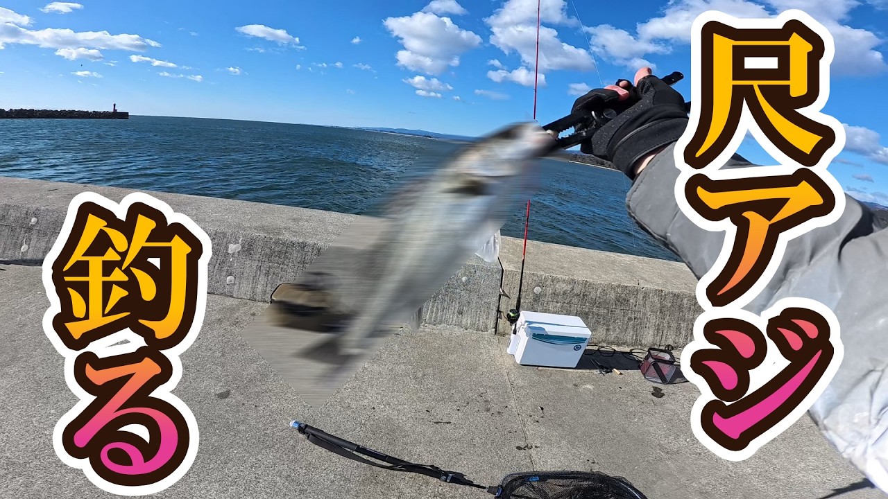 【大津港】尺アジを釣る気マンマンなヤツの爆釣記録動画（尺アジがとは言っていない）