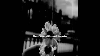 فيديوي حالات واتساب 🫶🖤🦋🖇