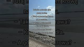 #żarty #śmieszne #rozrywka #humor