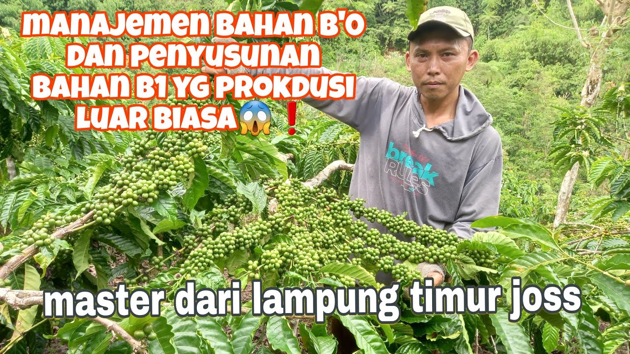 penyusunan bahan b0 dan b1 luar biasa rapi😱😱