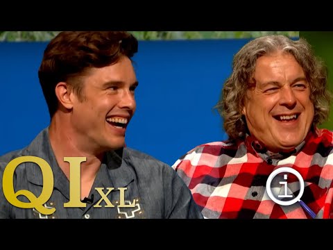 QI XL Full