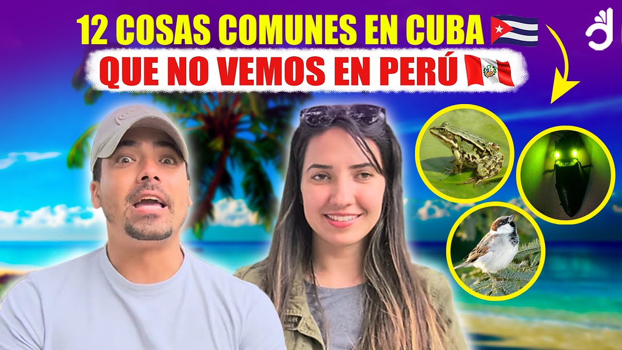 CUBANOS reaccionan a 12 características de Cuba que no se ven en Perú 🇨🇺🇵🇪