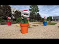 Kwiatki z Mario w prawdziwym życiu