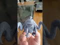 Big News! New Developments! #dndcommunity #dnd5e #3dprinting @DivineRogueDnD