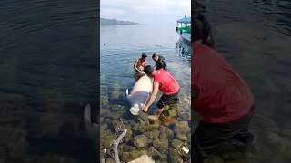 mermaid found dead, dugong #duyung #ikanpaus  #shortvideo