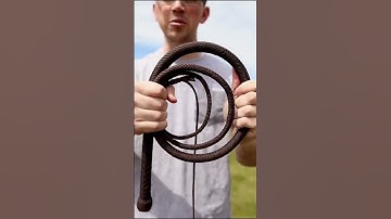Thumbnail of 6ft Bullwhip Demo