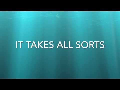 05 It Takes All Sorts - GPS - TWITW