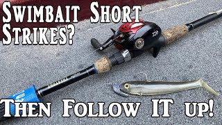 Short Striking Your Swimbait? Follow Up with This! screenshot 2