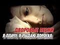 Очень красивая песня Я плачу я рыдаю дорогая Дворовые песни