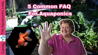 Aquaponics FAQ | What it is? Can I do it at home? Is it Complex and How to Start Aquaponics