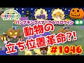 動物の位置が革新的に！【ポケ森】#1046 パンプキングとマジカルハロウィン★家具でコーデしてみた♪