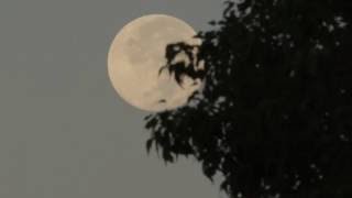 Harvest Moon September 17, 2016