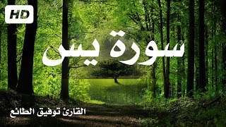 سورة  يس ( كاملة ) تلاوة هادئة مريحة للنفس 💚| القارئ توفيق الطائع| Surah Ya-Sin