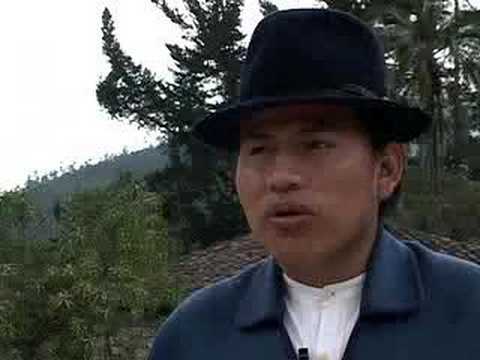 Los Otavalos Youtube
