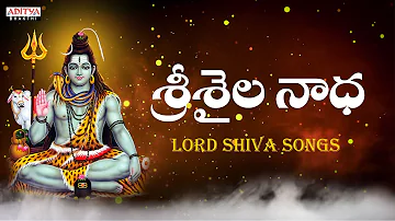 Srisaila Nadha | Lord Shiva Songs | Om Namah Shivaya | Latest Devotional Song #lordshivasongs