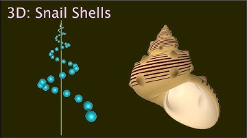 Modeling Nature - Snail Shells