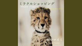 ミラクルショッピング ～ドン・キホーテのテーマ～