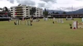 Abigail Ron Y Caballo Voltriter