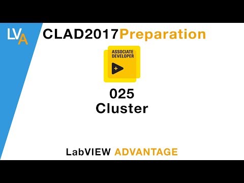 LabVIEW CLAD 025 Cluster