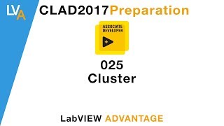 LabVIEW CLAD 025 Cluster