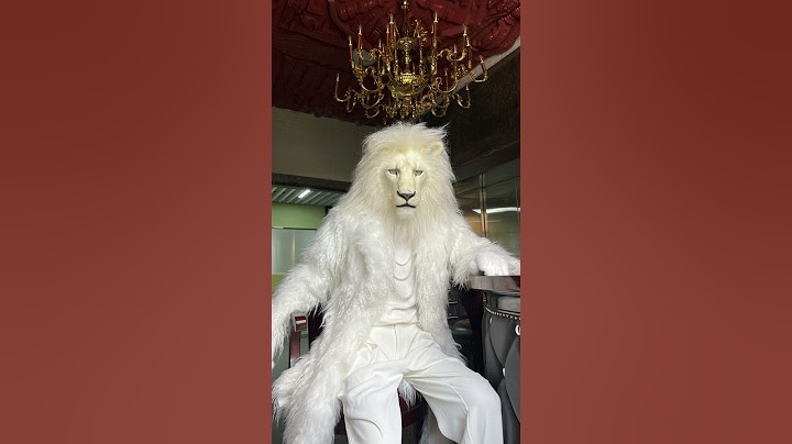 How have you been recently? #lion #fashion #fashiontrends
