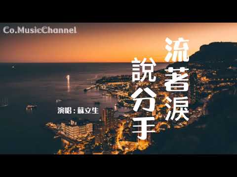 蘇立生 - 流著淚說分手 『流著淚說分手 我不願讓你走』【動態歌詞Lyrics】