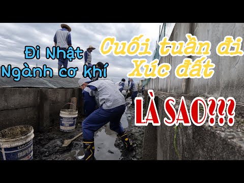 Video XKLĐ Nhật-Ngành CƠ KHÍ | Đi Xúc Đất Ở Cống( mương,... - youtube