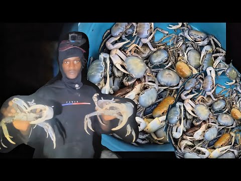BREATHLESS PERSUITE HUNTING GIANT LAND CRAB🦀  (CROCODILE🐊SWAMPS)🇯🇲