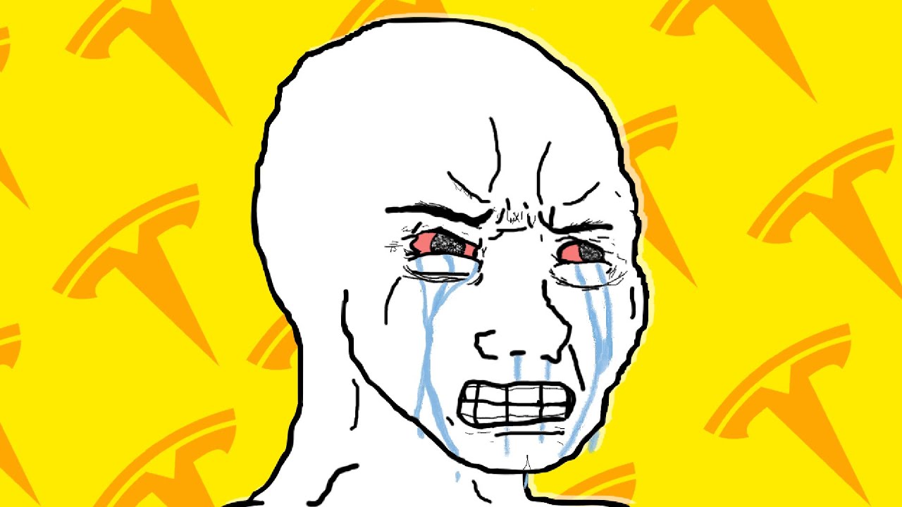 WHY PEOPLE HATE TESLA?