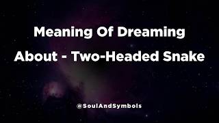 Two-Headed Snake Dream Meaning Explained 🔮